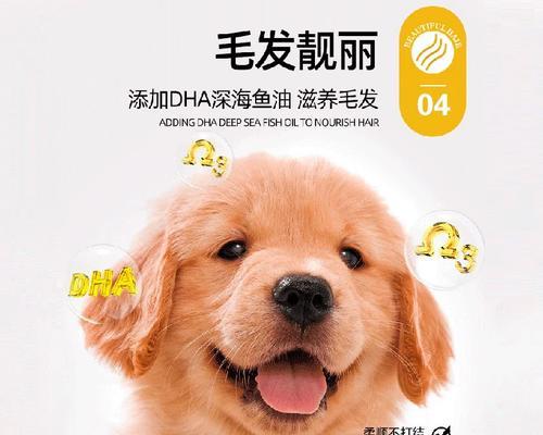 满月幼犬奶粉喂养全攻略：选择方法与过渡技巧