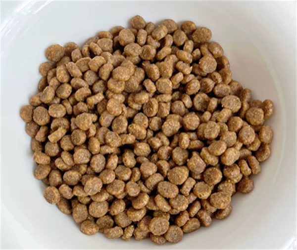 鸡肉冻干猫粮测评:高蛋白低致敏,适口性与安全性深度解析 鸡肉冻干猫粮测评:高蛋白低致敏,适口性与安全性深度解析