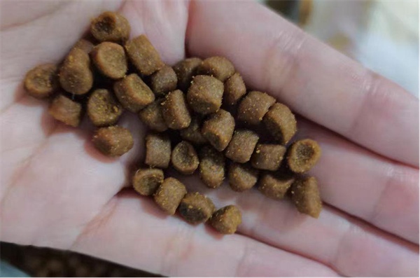 高蛋白猫粮深度测评：适合糖尿病猫咪，但需警惕便秘与成本