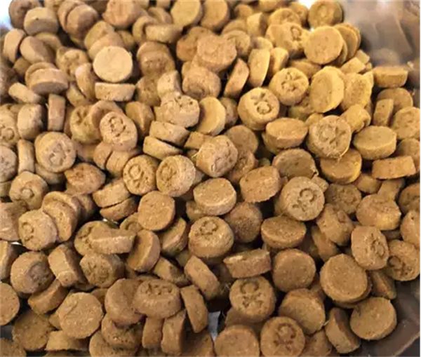 高蛋白烘焙猫粮适合你的猫吗？关键指标与适用性分析