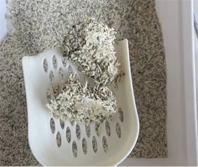 混合猫砂深度测评:除臭结团与耐用性表现全解析 混合猫砂深度测评:除臭结团与耐用性表现全解析