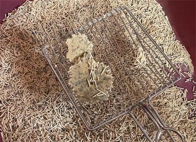 混合猫砂全面测评:粉尘、除臭与结团效果深度对比分析 混合猫砂全面测评:粉尘、除臭与结团效果深度对比分析