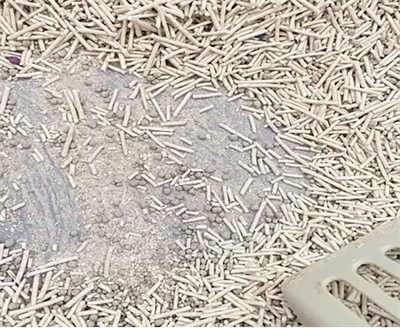 混合猫砂全面测评:粉尘、除臭与结团效果深度对比分析 混合猫砂全面测评:粉尘、除臭与结团效果深度对比分析