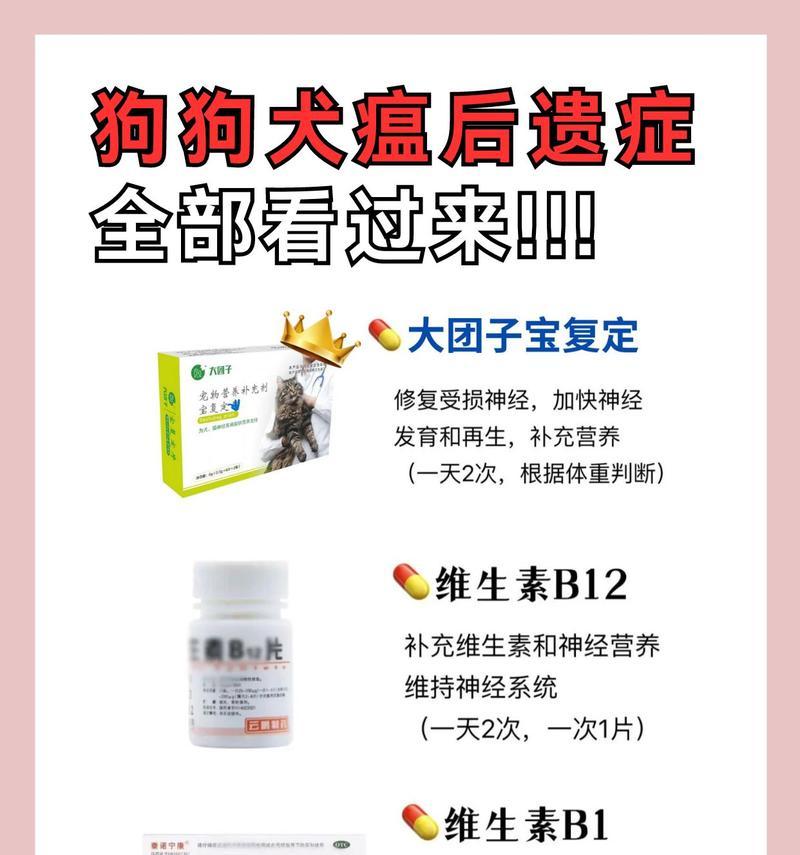 犬瘟治疗药物全解析:科学用药助狗狗康复 犬瘟治疗药物全解析:科学用药助狗狗康复