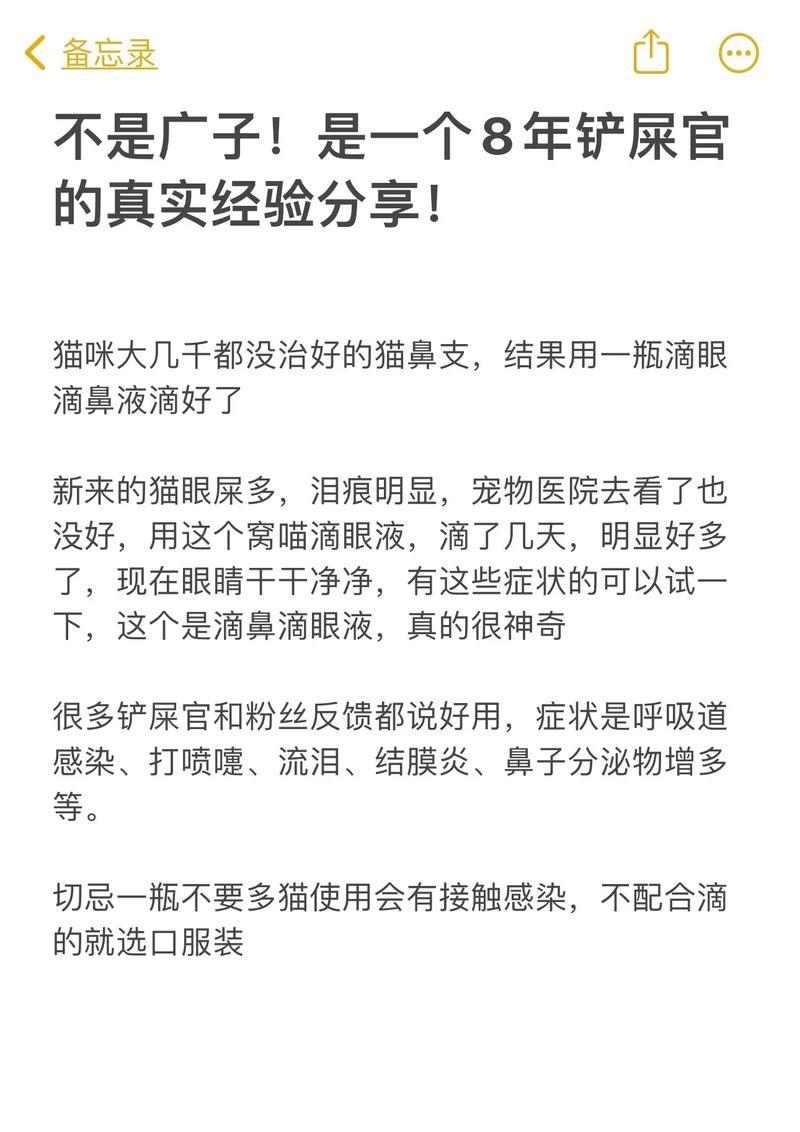 猫咪眼屎成因解析与日常护理应对指南