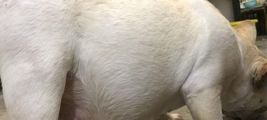 孕早期常见症状全解析与应对指南，助准妈妈安心度过