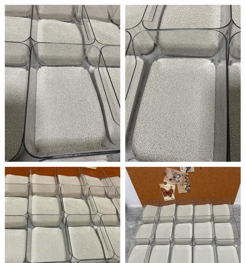 仓鼠浴沙香味怎么选?不同香型对宠物的影响与体验指南 仓鼠浴沙香味怎么选?不同香型对宠物的影响与体验指南