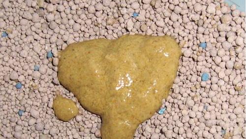 大便不成形原因与改善方法全解析，从饮食到生活习惯的调整指南