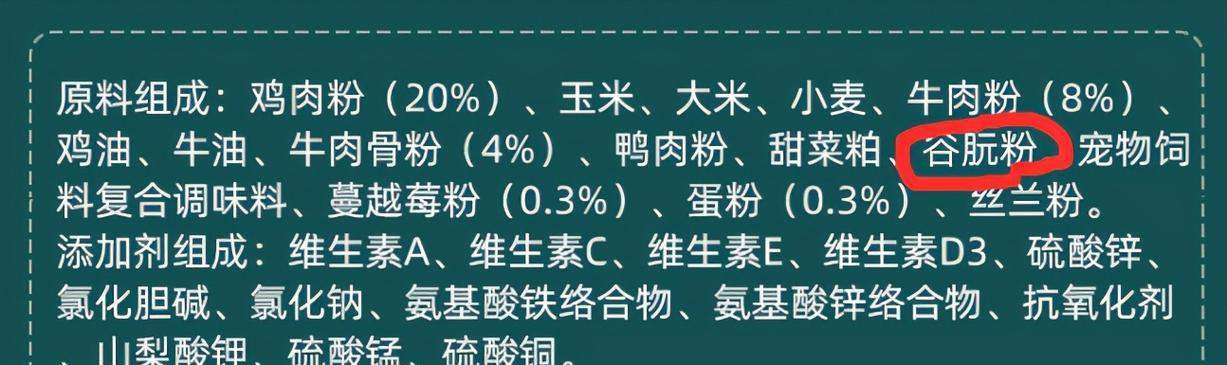 泰迪幼犬饮食指南：科学喂养促进健康成长
