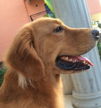 剃毛最佳时机与护理技巧全指南,打造清爽整洁形象 剃毛最佳时机与护理技巧全指南,打造清爽整洁形象