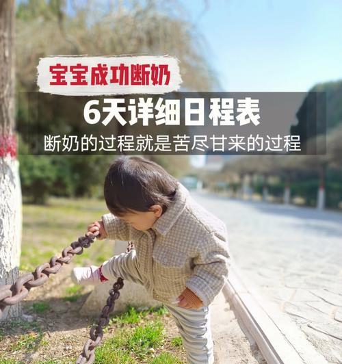 八哥犬断奶与渐进式喂养指南,守护幼犬健康成长 八哥犬断奶与渐进式喂养指南,守护幼犬健康成长