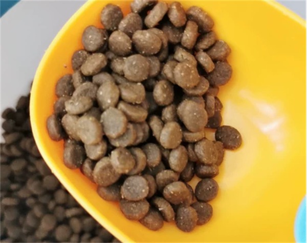 高端鳟鱼配方犬粮深度测评:美毛效果与品控究竟如何? 高端鳟鱼配方犬粮深度测评:美毛效果与品控究竟如何?