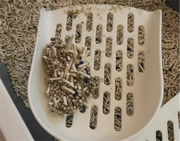 豆腐膨润土混合猫砂测评:结团除臭与粉尘表现分析 豆腐膨润土混合猫砂测评:结团除臭与粉尘表现分析