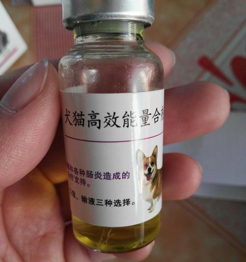 犬细小病毒输液治疗常用药物解析与康复指南