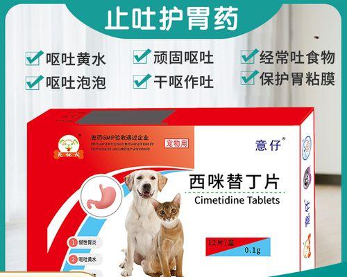 狗狗常见炎症类型与对症药物治疗全指南