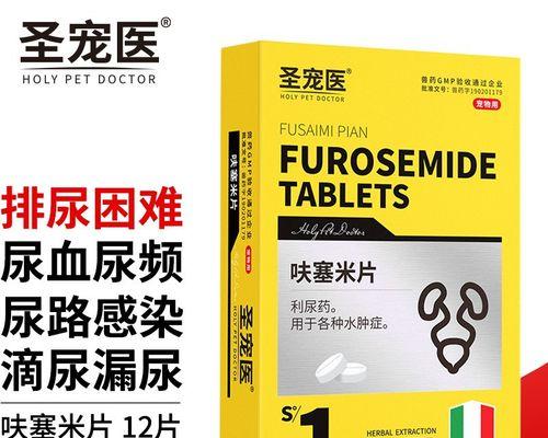 狗狗常见炎症类型与对症药物治疗全指南