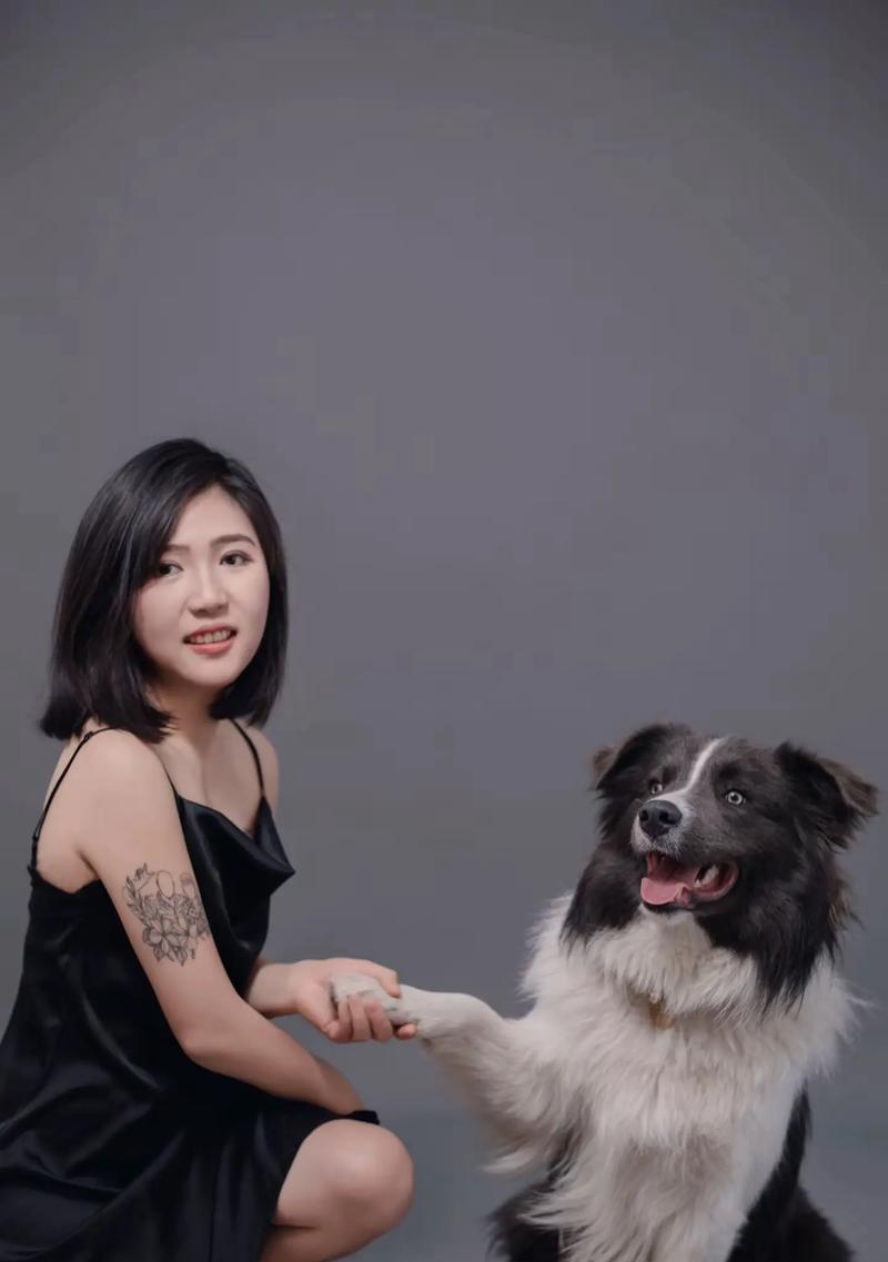 边牧蓝白混血犬配对指南：15种独特组合的魅力与特性解析