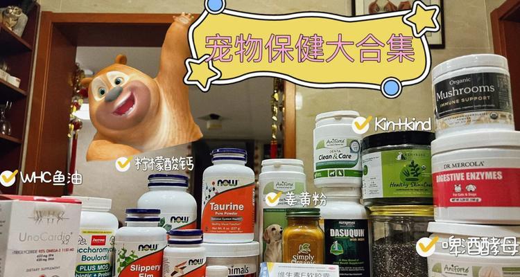 老龄宠物营养补充指南：科学喂养助力爱宠健康长寿