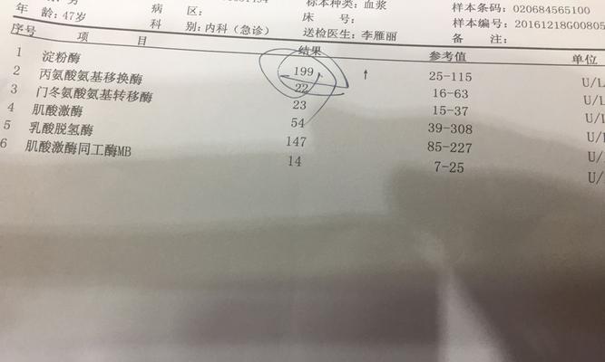 狗狗淀粉酶高怎么办?低淀粉饮食选择与护理指南 狗狗淀粉酶高怎么办?低淀粉饮食选择与护理指南