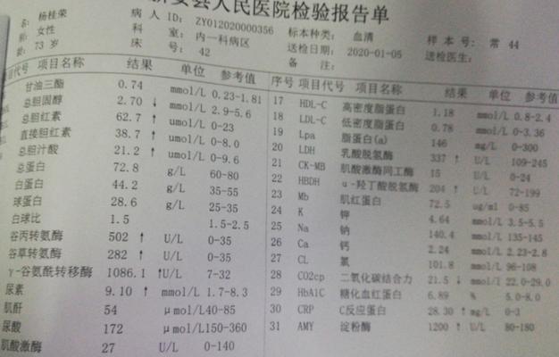 狗狗淀粉酶高怎么办?低淀粉饮食选择与护理指南 狗狗淀粉酶高怎么办?低淀粉饮食选择与护理指南