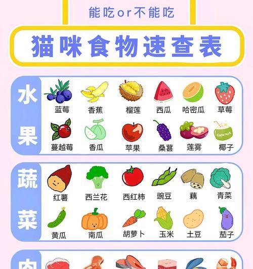 怀孕母猫饮食指南：营养均衡关键与孕期禁忌详解