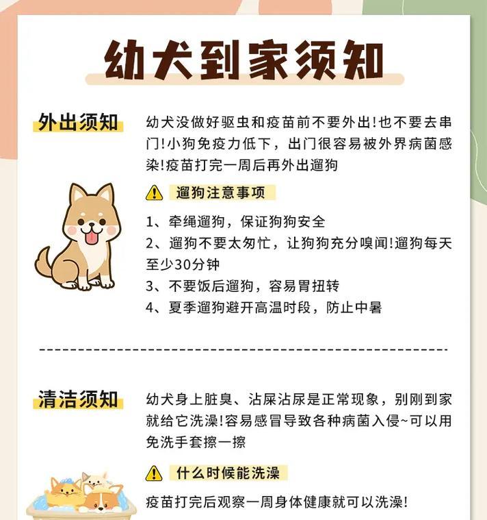 幼犬到家全攻略：15个关键步骤助你轻松迎接新成员