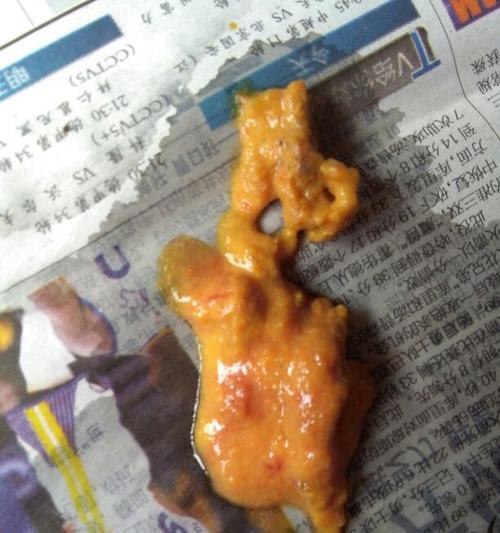 如何通过狗粮选择与饲养管理降低狗狗排泄物异味