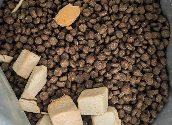 中端国产狗粮品控深度测评:这款产品的实际表现如何? 中端国产狗粮品控深度测评:这款产品的实际表现如何?