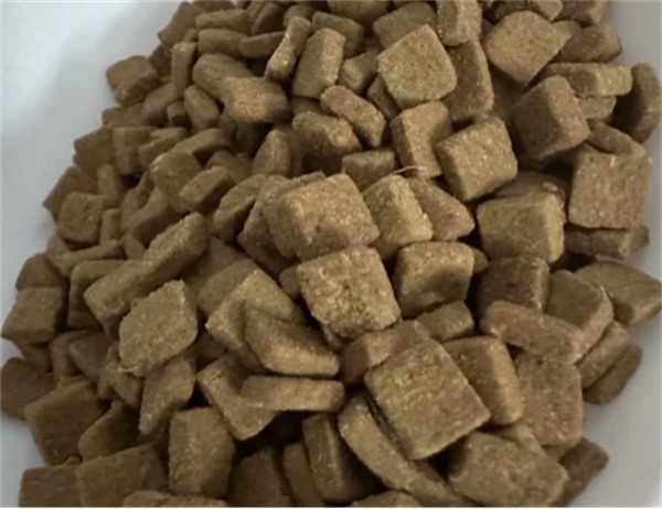 高端猫粮测评:鸡肉三文鱼配方贵在哪?营养与安全深度解析 高端猫粮测评:鸡肉三文鱼配方贵在哪?营养与安全深度解析