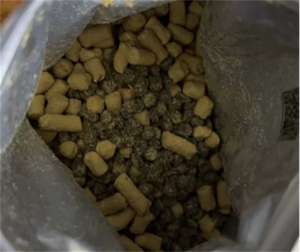 乳鸽猫粮是否值得入手？测评分析适口性与安全性