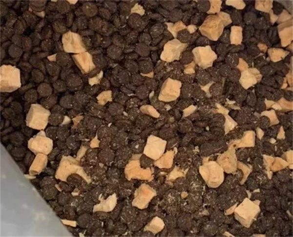 高蛋白无谷物成犬粮全面测评:品质、适口性与性价比解析 高蛋白无谷物成犬粮全面测评:品质、适口性与性价比解析