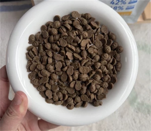 高蛋白猫粮真能美毛吗?实测结果与性价比分析 高蛋白猫粮真能美毛吗?实测结果与性价比分析