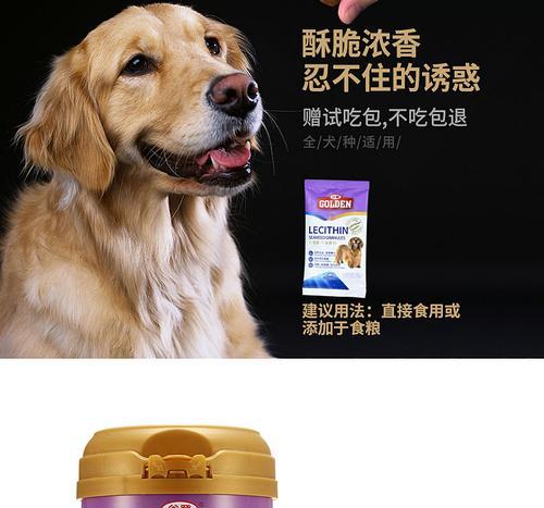 狗狗卵磷脂怎么选？不同成分功效解析与挑选指南