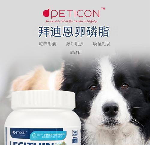 狗狗卵磷脂怎么选？不同成分功效解析与挑选指南