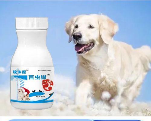 猫咪内驱虫的重要性与正确方法,守护爱宠健康的关键 猫咪内驱虫的重要性与正确方法,守护爱宠健康的关键