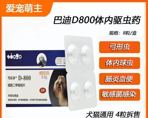 猫咪内驱虫的重要性与正确方法,守护爱宠健康的关键 猫咪内驱虫的重要性与正确方法,守护爱宠健康的关键