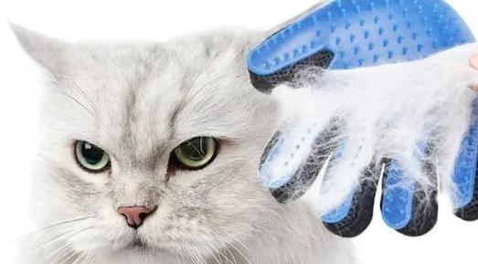 猫毛球成因与科学处理方法，保护猫咪消化健康