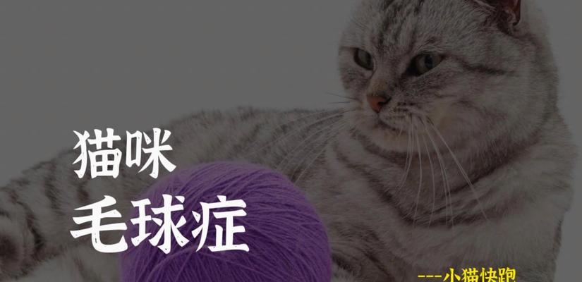 猫毛球成因与科学处理方法，保护猫咪消化健康