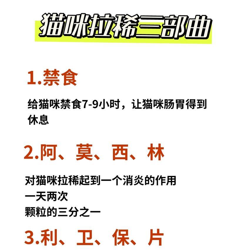 猫咪拉肚子原因与药物治疗指南，助您科学应对宠物腹泻