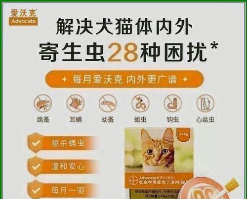如何选择适合猫咪的驱虫药？全面解析品牌效果与使用指南