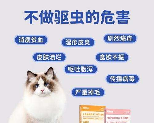 如何选择适合猫咪的驱虫药？全面解析品牌效果与使用指南