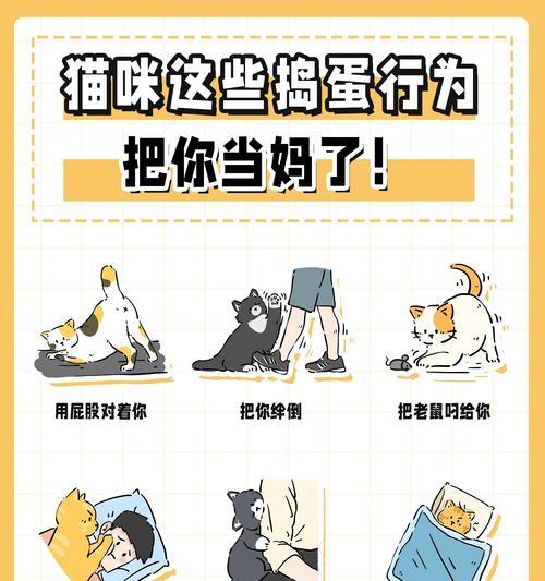 母猫分娩前准备指南:打造安全舒适产房与全程护理要点 母猫分娩前准备指南:打造安全舒适产房与全程护理要点