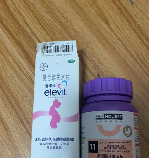 母猫产后饮食指南：科学喂养促进妈妈恢复与幼猫成长