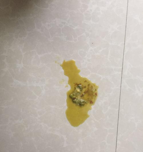 泰迪便便健康全解析：从颜色质地看消化系统问题与护理