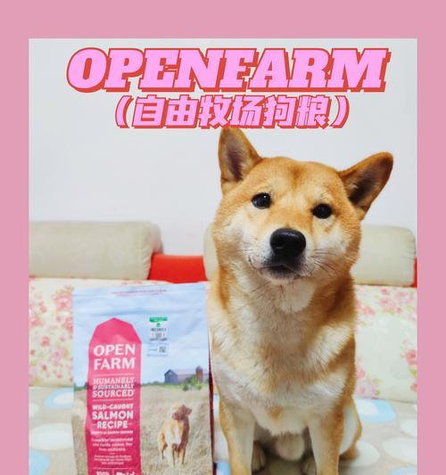 狗不吃狗粮常见原因与应对方法,让爱犬重拾胃口 狗不吃狗粮常见原因与应对方法,让爱犬重拾胃口