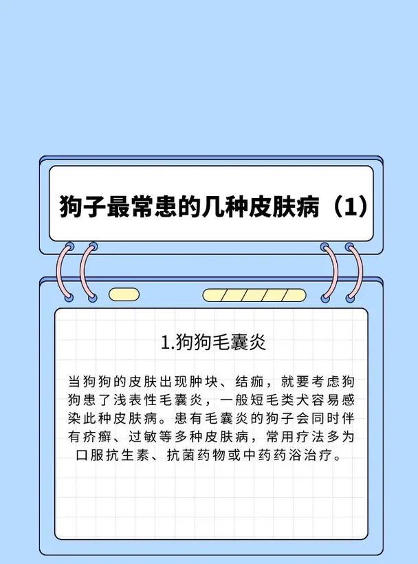 狗狗皮肤病如何用药?常见症状与药物治疗方案详解 狗狗皮肤病如何用药?常见症状与药物治疗方案详解