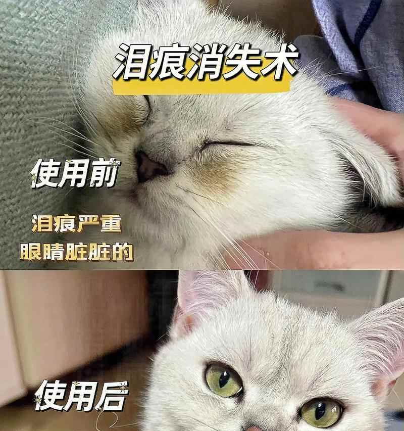 眼屎的成因与作用解析:眼睛为何会产生分泌物及其健康意义 眼屎的成因与作用解析:眼睛为何会产生分泌物及其健康意义