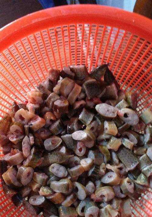 银龙鱼科学饲养全攻略,从饮食到环境健康无忧 银龙鱼科学饲养全攻略,从饮食到环境健康无忧