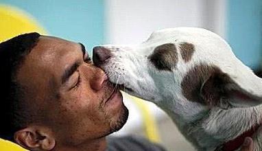 狗狗舔主人嘴巴的真正原因，亲密行为背后的情感动机解析