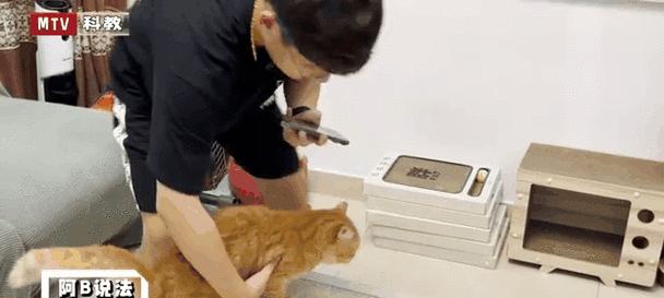 小猫体检的重要性:预防疾病与早期发现健康问题 小猫体检的重要性:预防疾病与早期发现健康问题